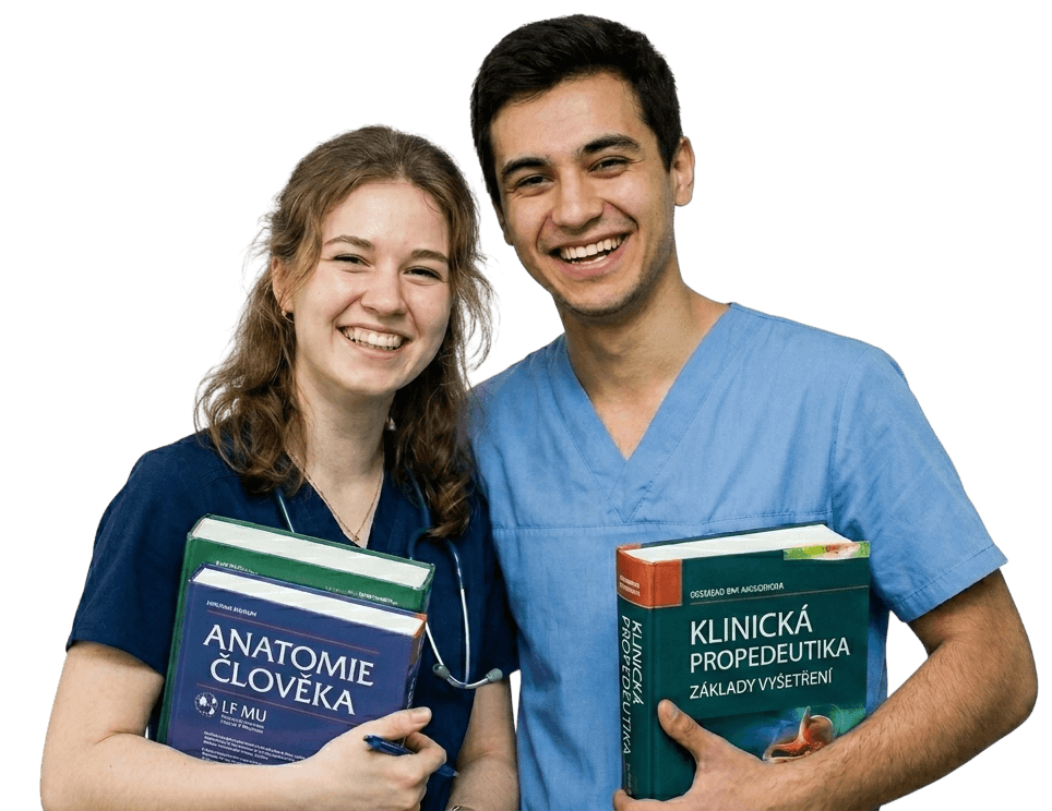 Medical students and healthcare professionals